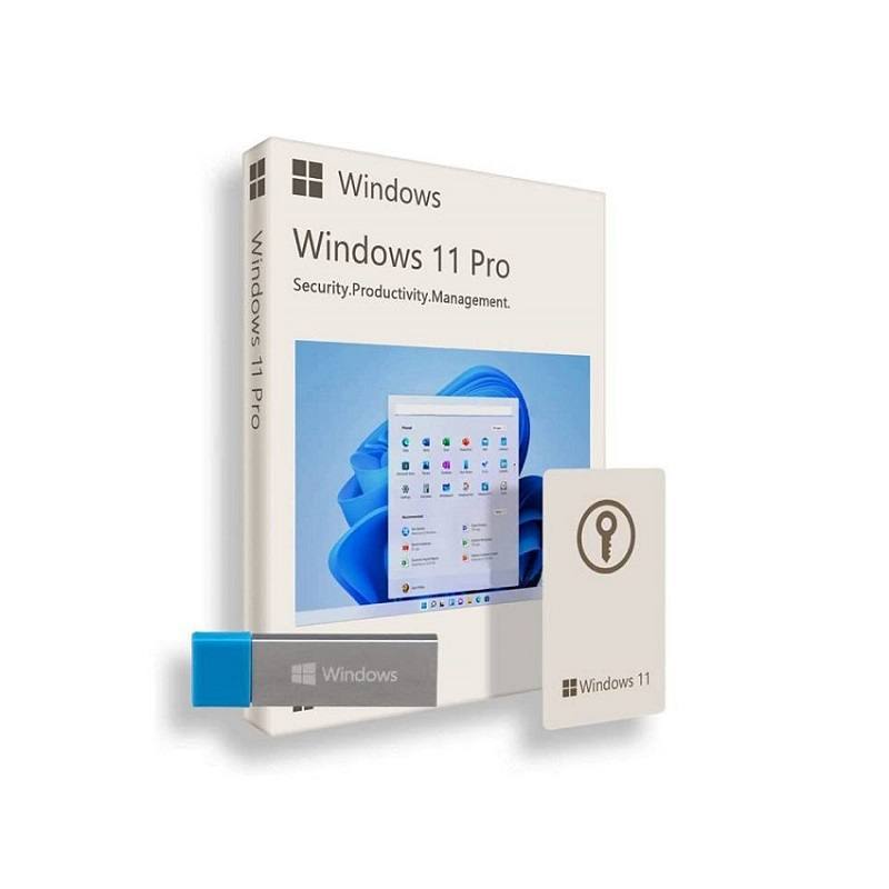 Programa Microsoft Windows 11 Pro, 32/64 Bit, 1 Licencia, Instalador USB, Inglés