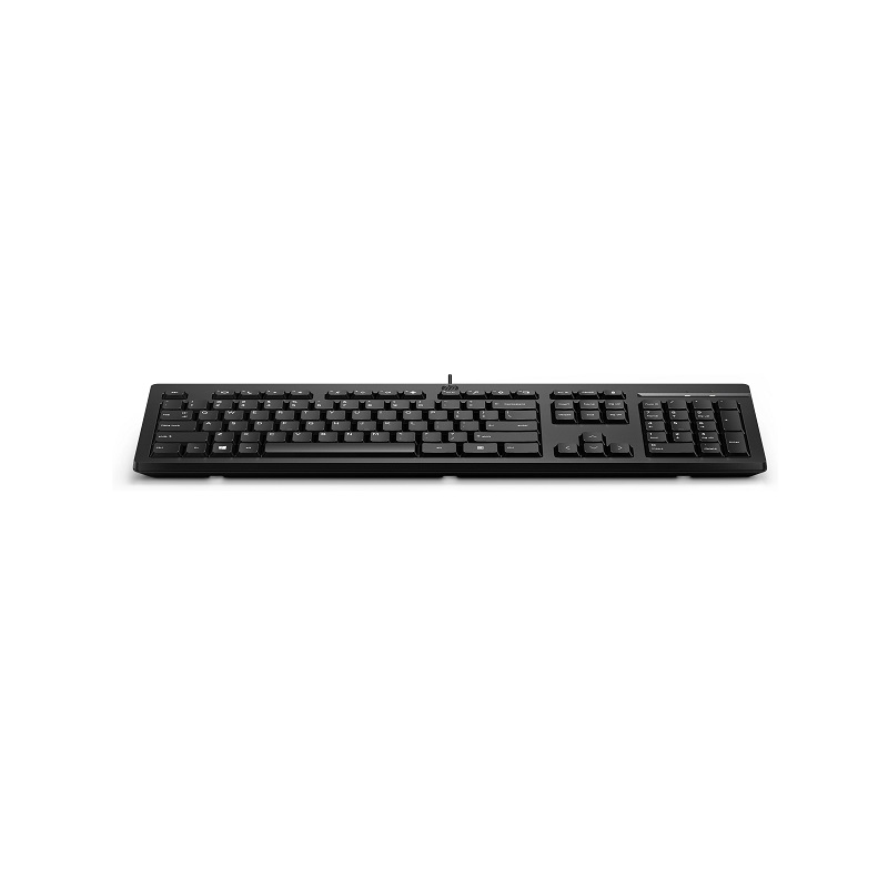 Teclado HP 125, Conexión USB, Español, Negro